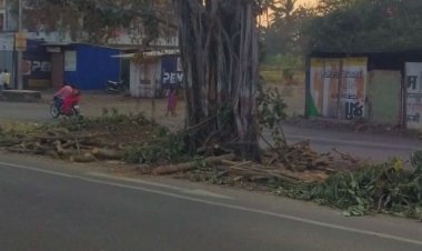 रस्त्याकडेलाच झाली त्याची निर्दयपणे कत्तल( मुंडके तसेच हातपाय छाटून उपकार कर्त्यालाच संपवले )