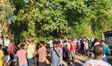 जांभळाच्या झाडावरून एकाचा जागीच मृत्यू जांभूळ खाण्याचा मोह बेतला जीवावर