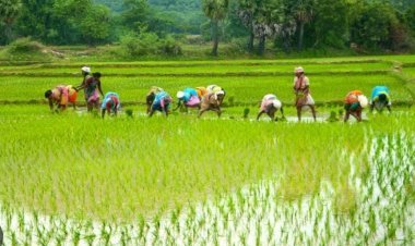 शेती  गोदाम बांधकाम बाबींसाठी 31 जुलै पर्यंत अर्ज करावेत