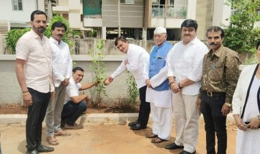 एक पेड मां के नाम, या मोहिमेचा खास. धनंजय महाडिक यांच्या हस्ते शुभारंभ