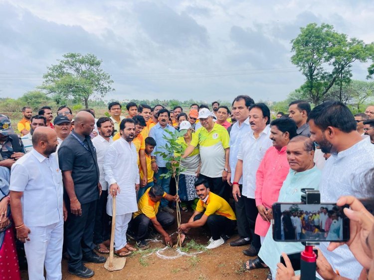 नाम.चंद्रकांतदादा पाटील यांचा वाढदिवसानिमित्त्य 65 हजार वृक्ष लागवडीचा संकल्प