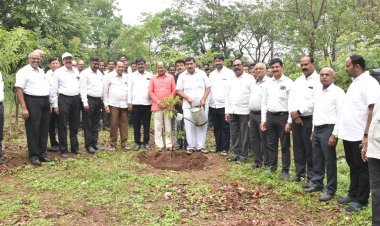 'गोकुळ’ तर्फे महाराष्ट्र कृषी दिनानिमित्य वृक्षारोपण