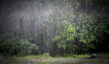 गगनबावडा तालुक्यात सर्वाधिक  पाऊस