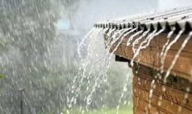 गगनबावडा तालुक्यात सर्वाधिक पाऊस