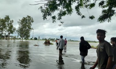 महापुराच्या पाण्यात ट्रॅक्टर ट्रॉली पलटी: 7 जण गेले वाहून , अजून 3 बेपत्ता