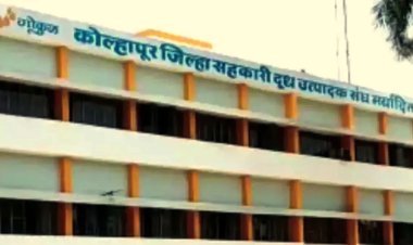 गोकुळला २०२४-२५ मध्ये ११३ कोटींचा नफा