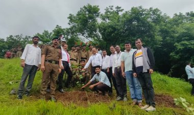 कोरे अभियांत्रिकेच्यावतीने २५० वृक्षारोपण