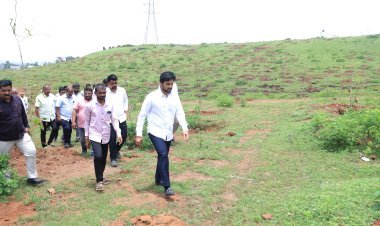 राजाराम तलाव परिसरात वृक्ष संवर्धनासाठी ठिबक सिंचन योजना राबवणार- आ. ऋतुराज पाटील