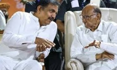 शरद पवारांच्या या वक्तव्यामुळे महाविकास आघाडीत खळबळ?