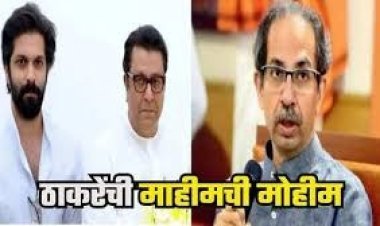 दादर-माहीममध्ये अमित ठाकरे मैदानात; शिवसेना देणार प्रतिसाद?