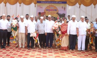 गोकुळमध्‍ये वसुबारस निमित्‍त म्हैस व गाय-वासराचे पूजन उत्‍साहात