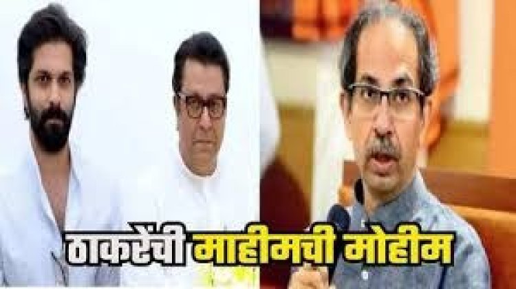 दादर-माहीममध्ये अमित ठाकरे मैदानात; शिवसेना देणार प्रतिसाद?