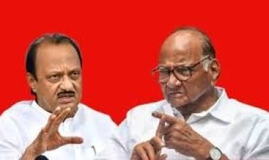 पुतण्याचा काकांना पुन्हा एकदा दणका, 'हा' माजी आमदार करणार अजित पवार गटात प्रवेश