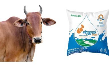 गाय दूध खरेदी दर कपात मागे घ्या : पशुपालकांचे अध्यक्ष अरुण डोंगळेंना निवेदन