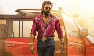 पुष्पा २' चा  सलग २० व्या दिवशी बॉक्स ऑफिसवर धुमाकूळ,केली 'इतक्या' कोटींची कमाई