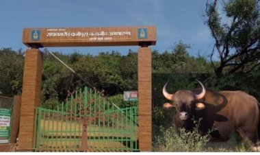 दाजीपूर अभयारण्य राहणार दोन दिवस बंद