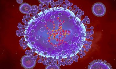 कोरोनासारख्याच विषाणूजन्य आजाराने चीन त्रस्त