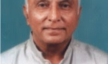 प्रख्यात साहित्यिक श्रीधर हेरवाडे यांचे निधन