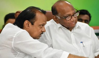 काका - पुतणे एकाच मंचावर , चर्चा काय झाली ? ठाकरेंचा स्वबळाचा नारा, शरद पवार म्हणाले...