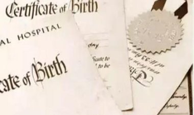 जन्म मृत्यू दाखल हवाय ? मग आता उशीर करू नका अन्यथा...