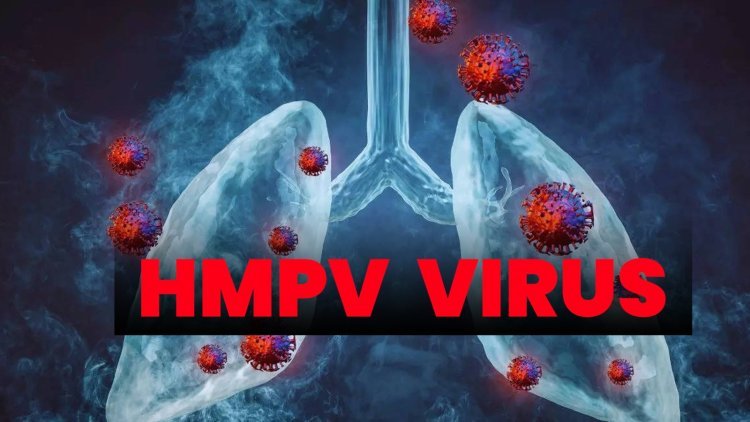 'HMPV Virus ' चा  भारतात शिरकाव , पहिली केस आढळली