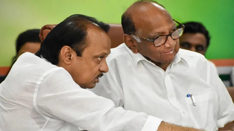 काका - पुतणे एकाच मंचावर , चर्चा काय झाली ? ठाकरेंचा स्वबळाचा नारा, शरद पवार म्हणाले...