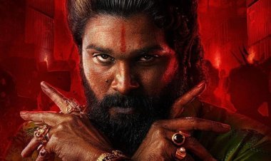 ‘पुष्पा २’ चे ओटीटीवरही राज्य, मिळवले  'इतके'  व्ह्यूज