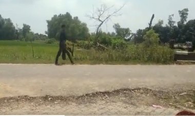 धक्कादायक : बहिणीच्या प्रेमप्रकरणामुऴे कापलं मुंडकं अन् गावभर... भावाचं क्रूर कृत्य