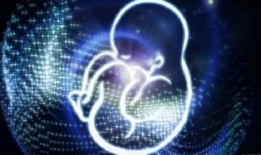 कळंबा येथे मोठी कारवाई ; गर्भपात करणाऱ्या टोळीचा पर्दाफाश