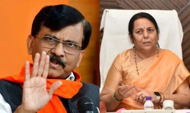 संजय राऊतांची निलम गोऱ्हे यांच्यावर टीका, म्हणाले 'ती' बाई...