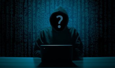 चक्क ..! सायबर चोरट्याने केले   'त्या' मुलीचे कौतुक ..!