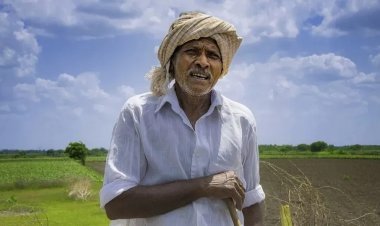 फडणवीस सरकारने 'ही' योजना गुंडाळली ; शेतक-यांना फटका