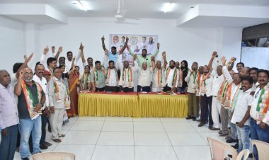 महापालिका निवडणुका ताकतीने लढवणार - व्ही.बी. पाटील