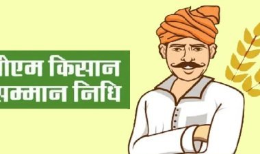 किसान सन्मान निधी योजनेचा २० वा हप्ता लवकरच जमा होणार ; मात्र 'या' गोष्टी कराव्या लागणार