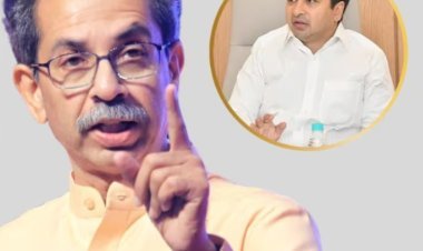 उद्धव ठाकरेंनी नितेश राणेंची उडवली खिल्ली