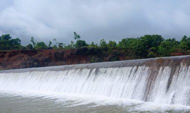 कोल्हापूर जिल्ह्यात पावसाचा जोर; नदीकाठच्या लोकांना सतर्क राहण्याचे प्रशासनाकडून आवाहन