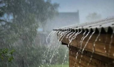 राज्यात पावसाचा जोर वाढणार ; कोकण आणि मध्य महाराष्ट्रात मुसळधार पावसाचा इशारा