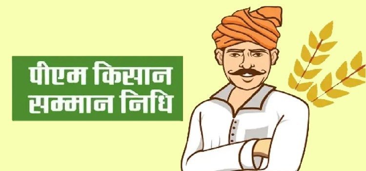 किसान सन्मान निधी योजनेचा २० वा हप्ता लवकरच जमा होणार ; मात्र 'या' गोष्टी कराव्या लागणार