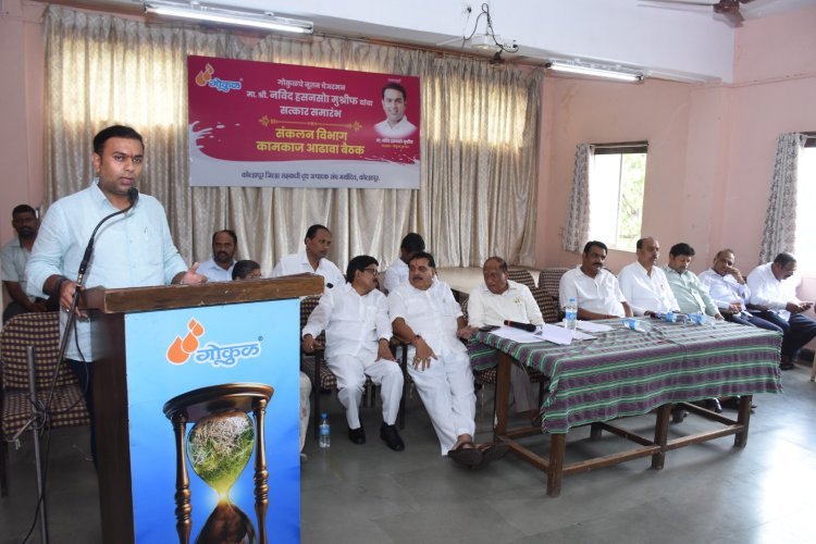 म्हैस दूध संकलन वाढीसाठी गोकुळच्या योजना अधिक प्रभावीपणे राबविणार - नविद मुश्रीफ