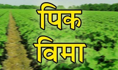 प्रधानमंत्री पीक विमा योजना : इच्छुकांनी 31 जुलै पर्यंत सहभागी होण्याचे आवाहन