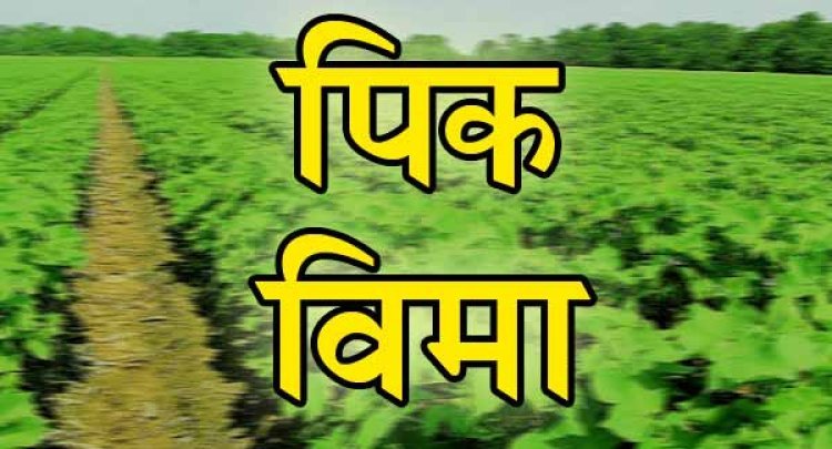 प्रधानमंत्री पीक विमा योजना : इच्छुकांनी 31 जुलै पर्यंत सहभागी होण्याचे आवाहन