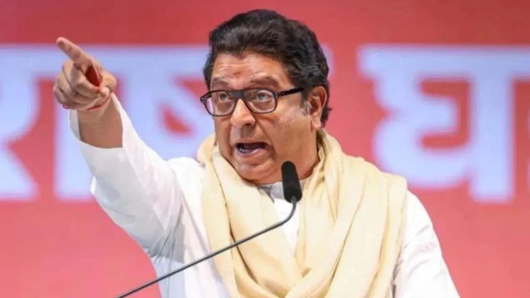 मराठी - हिंदी भाषावाद सर्वोच्च न्यायालयात ; राज ठाकरेंविरुद्ध जनहित याचिका