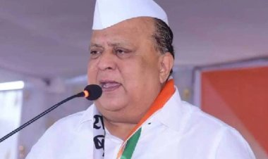 माधुरी हत्तीणीप्रश्नी कोल्हापूरकरांची वज्रमुठ ठरली भारी - मंत्री हसन मुश्रीफ