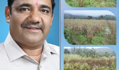 कोल्हापूर जिल्हा बँकेच्या वार्षिक सर्वसाधारण सभेत 'हा' ठराव मांडणार - चेअरमन विलास पाटील