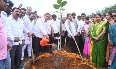 गडमुडशिंगीमध्ये ७५ वडांच्या झाडांंचे नमो पार्क हा महाराष्ट्रातील पहिलाच नाविन्यपूर्ण उपक्रम - नाम. आशिष शेलार
