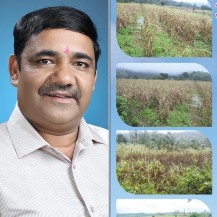 कोल्हापूर जिल्हा बँकेच्या वार्षिक सर्वसाधारण सभेत 'हा' ठराव मांडणार - चेअरमन विलास पाटील