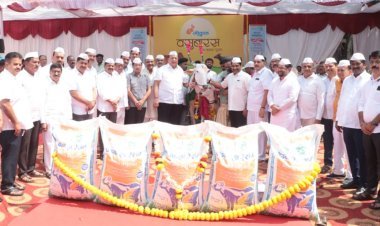 दूध उत्पादकांना गोकुळकडून 'ही' दिवाळीची गोड भेट!