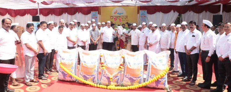 दूध उत्पादकांना गोकुळकडून 'ही' दिवाळीची गोड भेट!