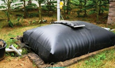 ‘गोबरसे समृद्धी’ ही केवळ ऊर्जा निर्मिती नव्हे, तर शेतकऱ्यांच्या आर्थिक प्रगतीची नवी दिशा - नविद मुश्रीफ