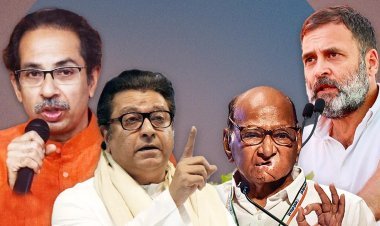 महाविकास आघाडी आणि मनसे एकत्र, भाजपविरुद्ध लढणार 'या' शहारातून झाली सुरूवात..?